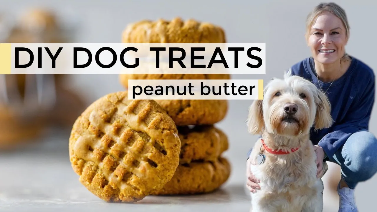 HOMEMADE DOG TREATS   easy DIY dog treats recipe