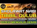Download Lagu SHOLAWAT PENYEMBUH SEGALA PENYAKIT - SHOLAWAT NABI MUHAMMAD SAW - SHOLAWAT TIBBIL QULUB
