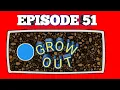 GROW OUT EPISODE