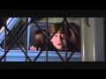 Harry Potter and the Chamber of the Secrets - Flying car scene