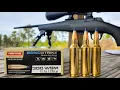 300WSM at 1 000 yards - Norma BondStrike