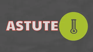 What Does ASTUTE Means Meanings And Definitions With Example in ENGLISH