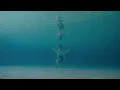 [모우어] 서프비트 독서 플레이리스트
