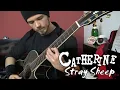 Lagu Catherine - Stray Sheep 🐑 | Guitar Cover (Tabs - All Instruments)