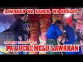 Download Lagu PA LUCKI MELU LAWAKAN WA KANCIL WA KOSLET || LAWAKAN WA KANCIL LAN WA KOSLET TERBARU