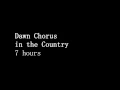 7 Hours - DAWN CHORUS - Birds in the Morning - Ambiance for restaurants, spas, health farms...