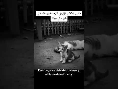 حتى الكلاب تهزمها الرحمة💔 #الرحمن #الله