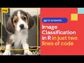 Image Classification and Object Detection in R using just TWO lines of code