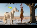 Download Lagu Mustang Horse Found Apache Girl Hanging from a Tree—What Happened Next Was Even More Shocking!