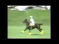The War of The Stars - Features Knots Landing Actors William Devane Doug Sheehan VS USC Polo Team