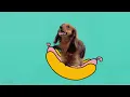 TIEKS - Sunshine ft Dan Harkna (Official Music Video) | Ministry of Sound