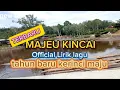 Download Lagu LIRIK LAGU -MAJEU KINCAI ✨ (OFFICIAL LYRICS SONG)
