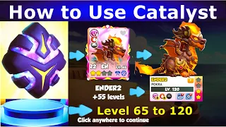How to Use Catalyst Level up 120 Pokra Dragon Apex Catalyst work DML