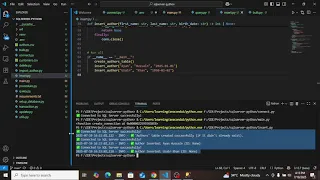 Python SQL Server Integration Step-by-Step Database Connectivity