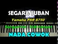 Download Lagu Didi Kempot - Segoro Tuban [KARAOKE] by Saka