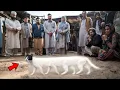 Download Lagu HET PIJNLIJKE VERHAAL VAN ONGELOOFLIJKE KATTEN EN PRINSESSEN | ENGELSE VERHALEN | EN WERELDVERHALEN