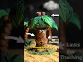 Download Lagu Kenapa Kelapa Dijuluki Pohon Seribu Guna? Ini Alasannya !! #faktalucu #claymation