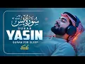 Lagu Surah Yaseen سورة يس | Soothing \u0026 Calming Lofi Quran to Soothe the Soul \u0026 Ease the Heart by Alaa Aql