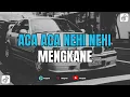 Download Lagu DJ ACA ACA NEHI NEHI JDM MENGSANTUY TERBARU VIRAL TIK TOK