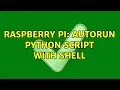 Raspberry Pi Autorun Python script with shell