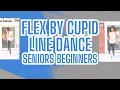 Flex by Cupid Line Dance Tutorial for Seniors and Beginners Step by Step Slowly