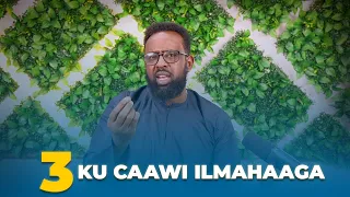 3 DAN SHAY KU CAAWI ILMAHAAGA FARIINTA JIMCAHA  3 DAN SHAY KU CAAWI ILMAHAAGA FARIINTA JIMCAHA
