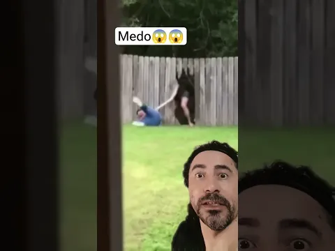 #humor