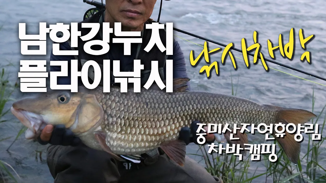 차박하면서 남한강 누치 플라이낚시 / 중미산자연휴양림에서 차박캠핑 / 디스커버리 4 차박 / 슬기로운차박생활 / 부부차박 /  flyfishing / car camping 썸네일