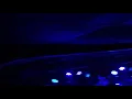 The Steel Woods  "Axe"  - Live at Zydeco in Birmingham, AL 1-25-19  (16 of 18)