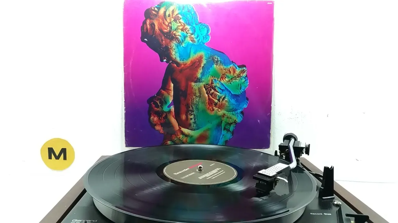 NEW ORDER (Vinil 1988)