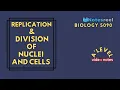 Replication And Division of Nuclei and Cells A Level Notes Biology 9700