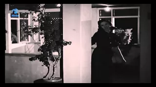 شادية شبكت قلبى والقلب غالى 