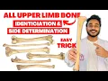 All upper limb bone side determination All upper limb bone identification identification of bone