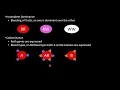 AP Biology Unit 5 Heredity Complete Review