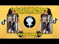 Download Lagu DJ INDUSTRIAL WOLFGANG VIRAL TIKTOK 2022