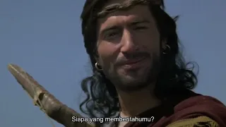 king david part 1