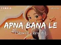 Download Lagu Apna Bana Le Female Version - Lofi (Slowed + Reverb) | Sakshi Holkar | Bhediya | SR Lofi