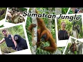 Download Lagu We did a 4 DAY JUNGLE TREK in Sumatra, and this is how it went...👀