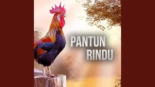 Download Pantun Rindu MP3