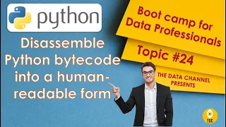 Disassemble Python bytecode into a human-readable form Topic