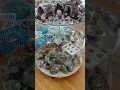 Inside Rock Shop Tour