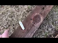 OldGuyDIY DIY 50 No Weld 5 ATV Spike Drag Harrow UTV Food Plot Tractor Field 4 Lag Screws FAIL
