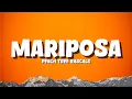 Download Lagu Peach Tree Rascals - Mariposa [Lyrics]