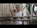 Download Lagu 🔴 NIKITA MIRZANI KEDATANGAN FANS DARI SINGAPUR BERIKAN BANYAK HADIAH