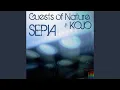 Download Lagu Sepia