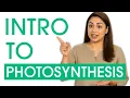 Want To Master PHOTOSYNTHESIS Watch This Now