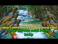 Download Lagu Terapi korlap cukup 1menit langsung nyaut #korlap