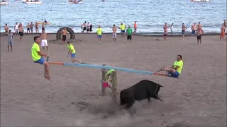 ثيران هائجة في شوارع إسبانيا 