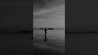 مقطع للتصميم فيديو قصير للتصميم مشهد للمونتاج بدون حقوق 