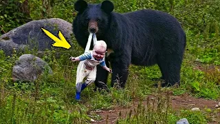 Download The bear carried the child onto the road. You won't believe what happened next! MP3